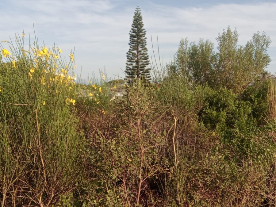 Commercial Property for Sale in Paradise Beach Eastern Cape
